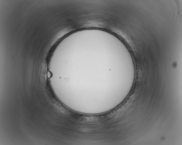 X0000116821219201001081410