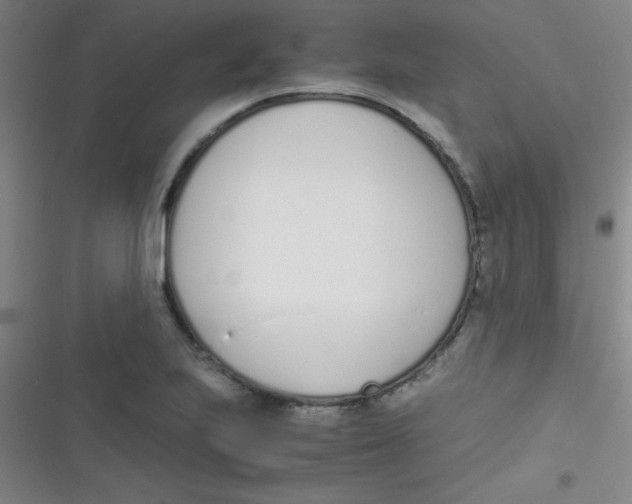 X0000116821223201001081410