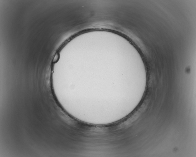 X0000116821224201001081410