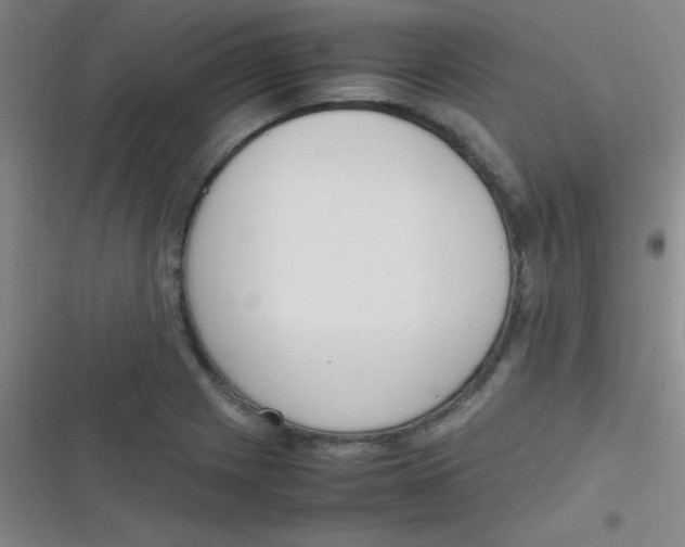 X0000116821225201001081410