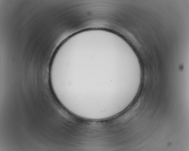 X0000116821226201001081410