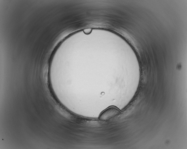 X0000116821227201001081410