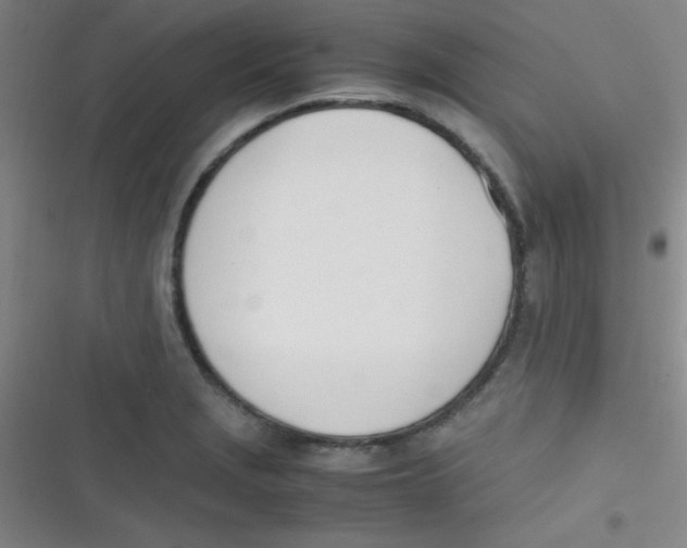 X0000116821229201001081410