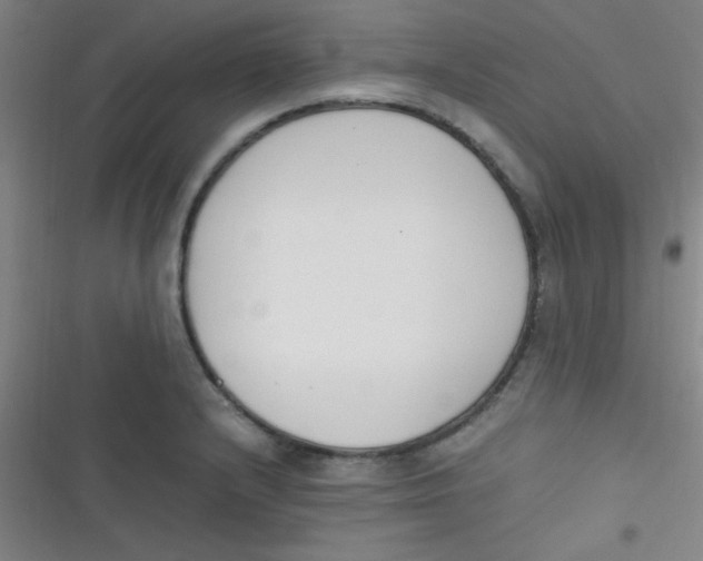 X0000116821232201001081410