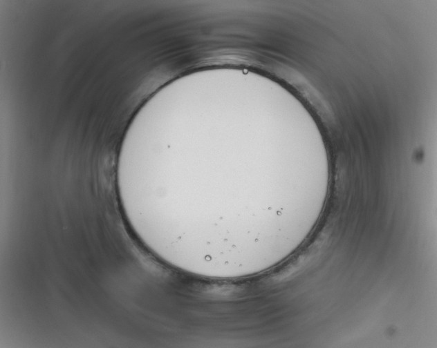 X0000116821233201001081410