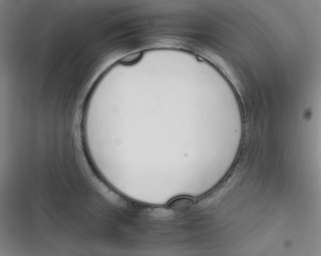 X0000116821235201001081410