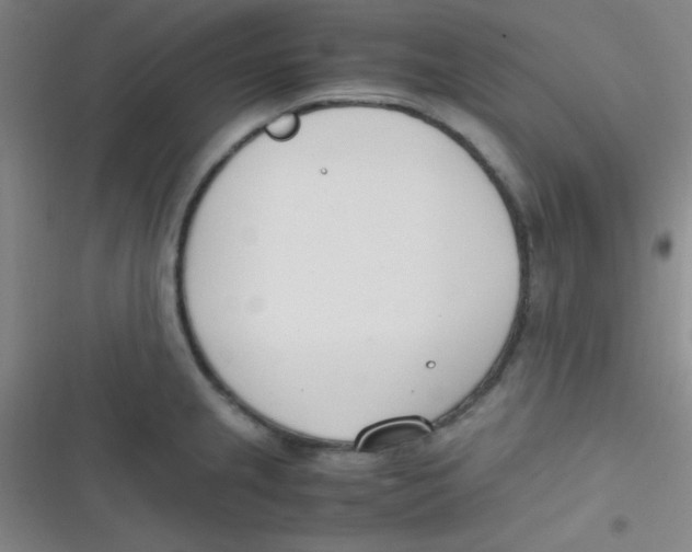 X0000116821237201001081410