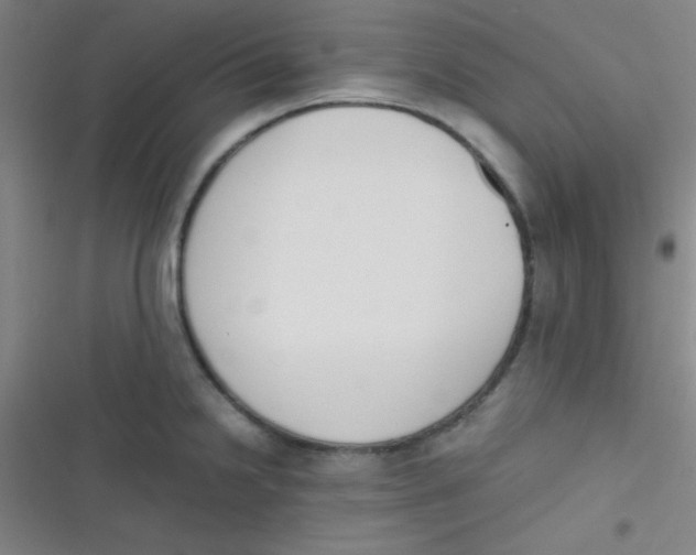 X0000116821238201001081410