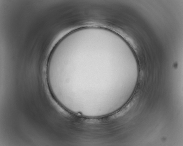 X0000116821239201001081410