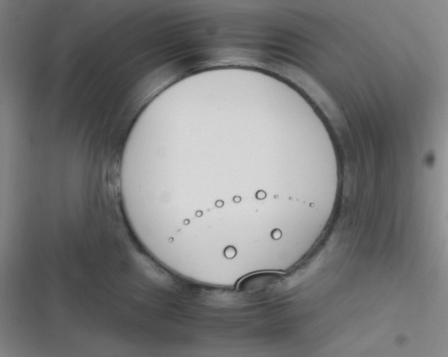 X0000116821241201001081410