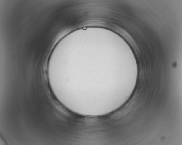 X0000116821242201001081410