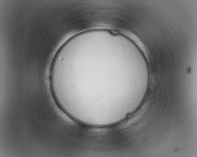 X0000116821243201001081410