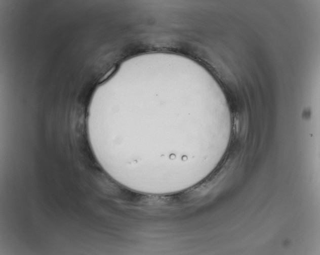 X0000116821251201001081409