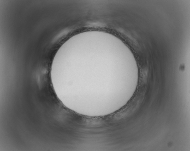 X0000116821254201001081409