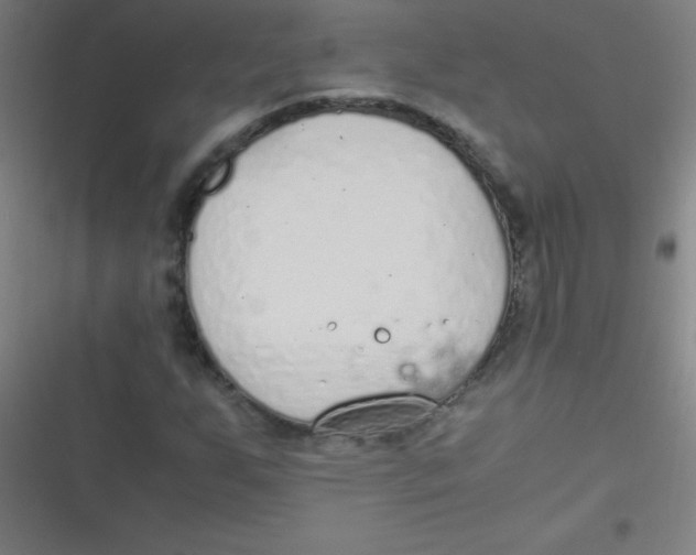 X0000116821255201001081409