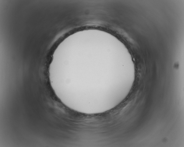 X0000116821256201001081409