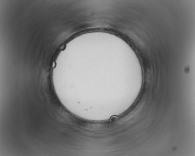 X0000116821257201001081409