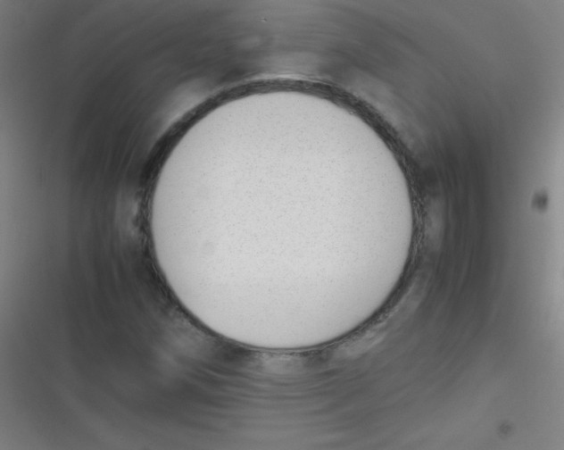 X0000116821258201001081409