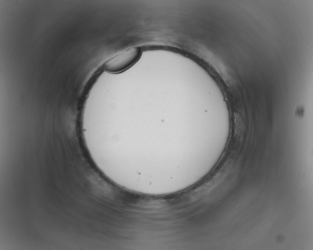 X0000116821260201001081409