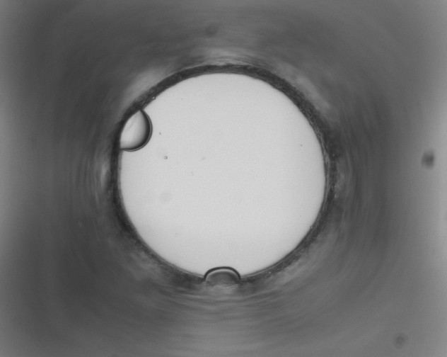 X0000116821261201001081409