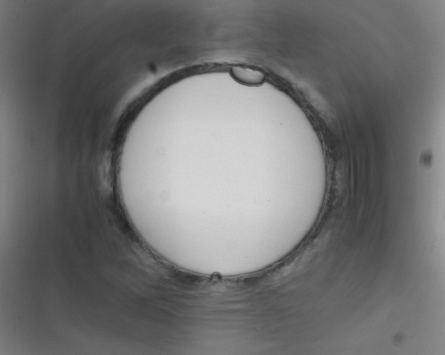 X0000116821262201001081409