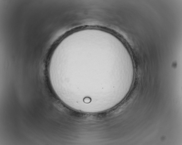 X0000116821263201001081409