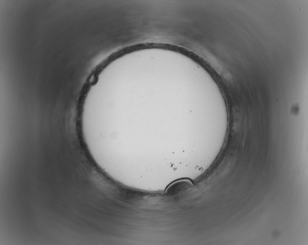 X0000116821264201001081409