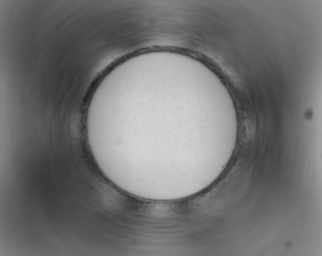 X0000116821266201001081409