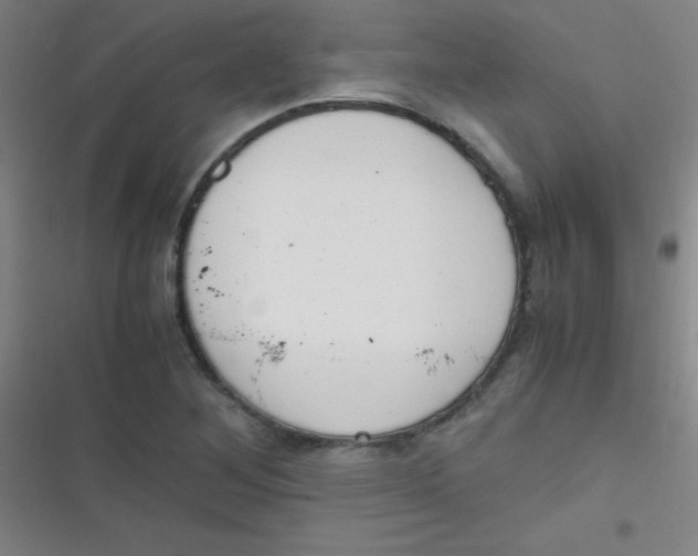 X0000116821268201001081409