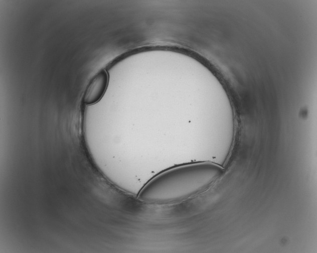 X0000116821269201001081409