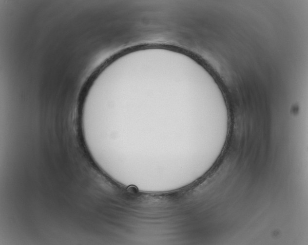 X0000116821270201001081409