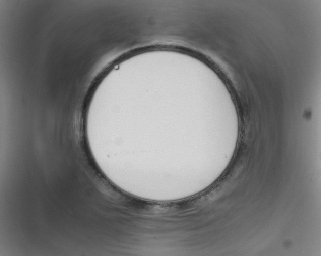 X0000116821271201001081409