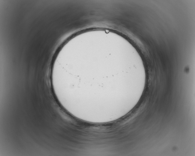 X0000116821272201001081409