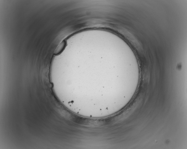 X0000116821273201001081409