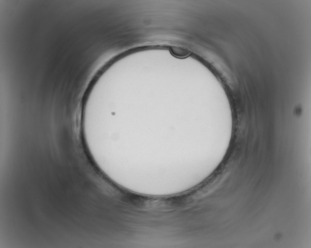 X0000116821275201001081409