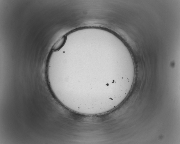 X0000116821277201001081409