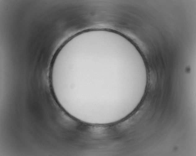 X0000116821278201001081409