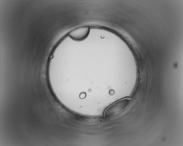 X0000116821279201001081409