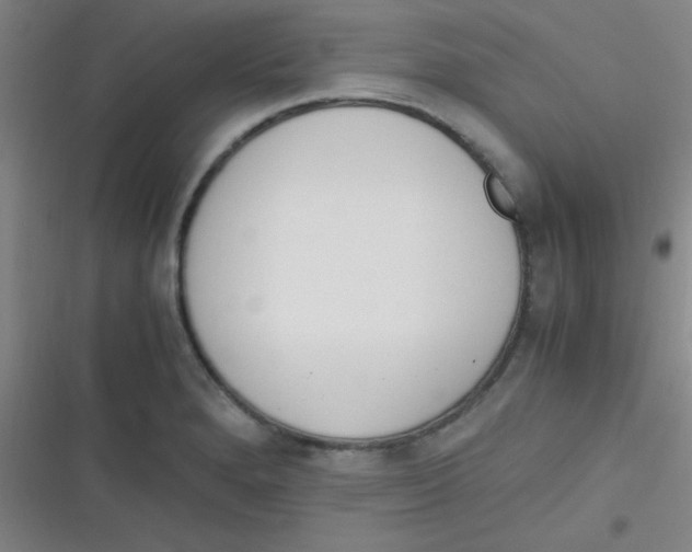 X0000116821280201001081409