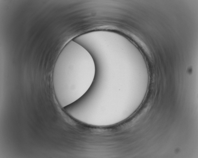 X0000116821281201001081409