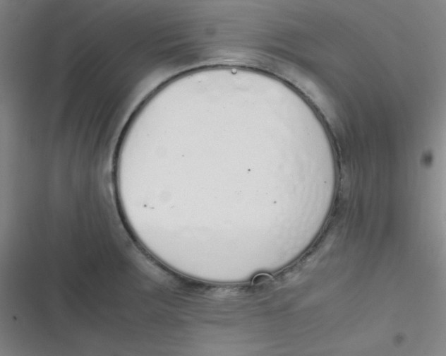 X0000116821283201001081409