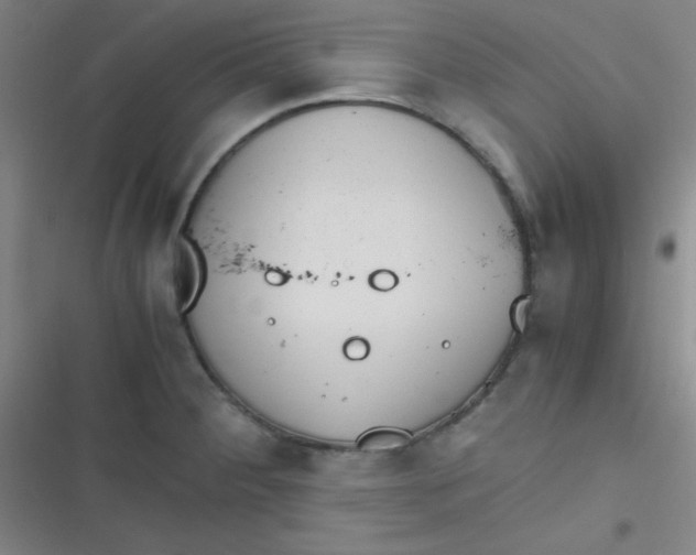 X0000116821284201001081409