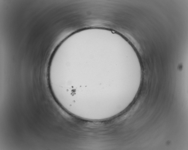 X0000116821285201001081409