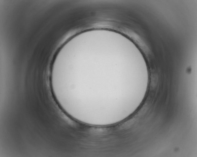 X0000116821286201001081409