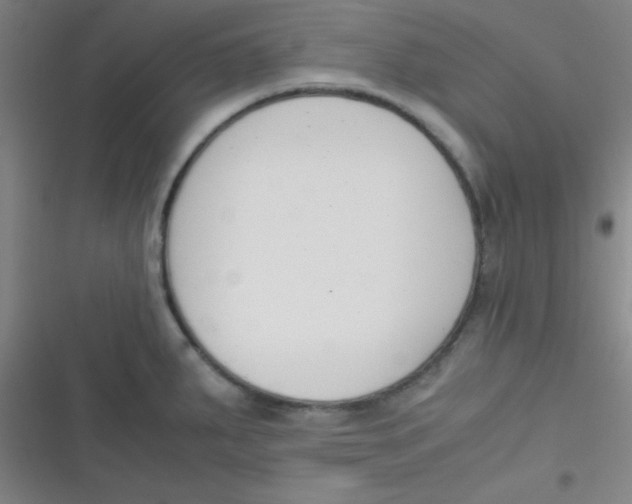 X0000116821287201001081409