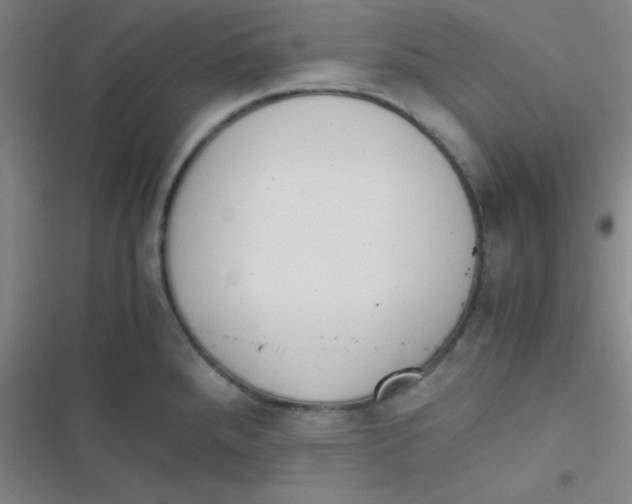 X0000116821288201001081409