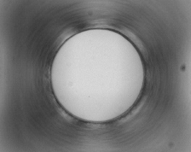 X0000116821289201001081409