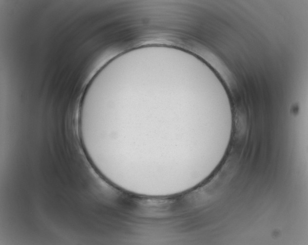 X0000116821290201001081409