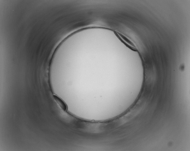 X0000116821292201001081409