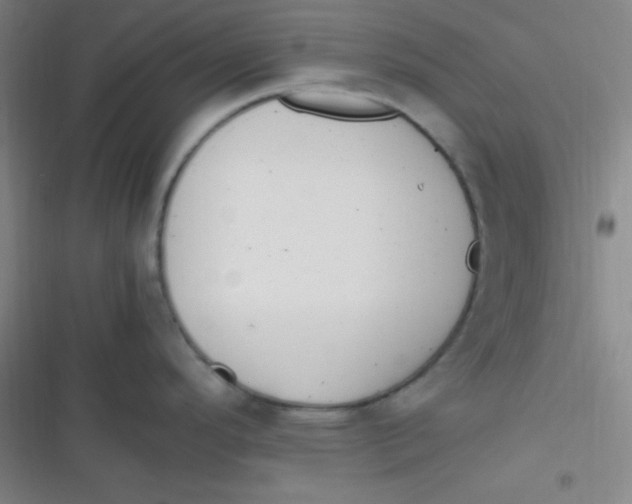 X0000116821296201001081409